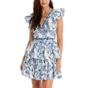 Allison Amur Mini Dress